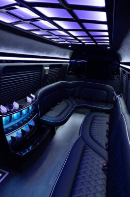 LimoBusNow! - 12 Passenger Mercedes-Benz Sprinter Party Bus - Interior